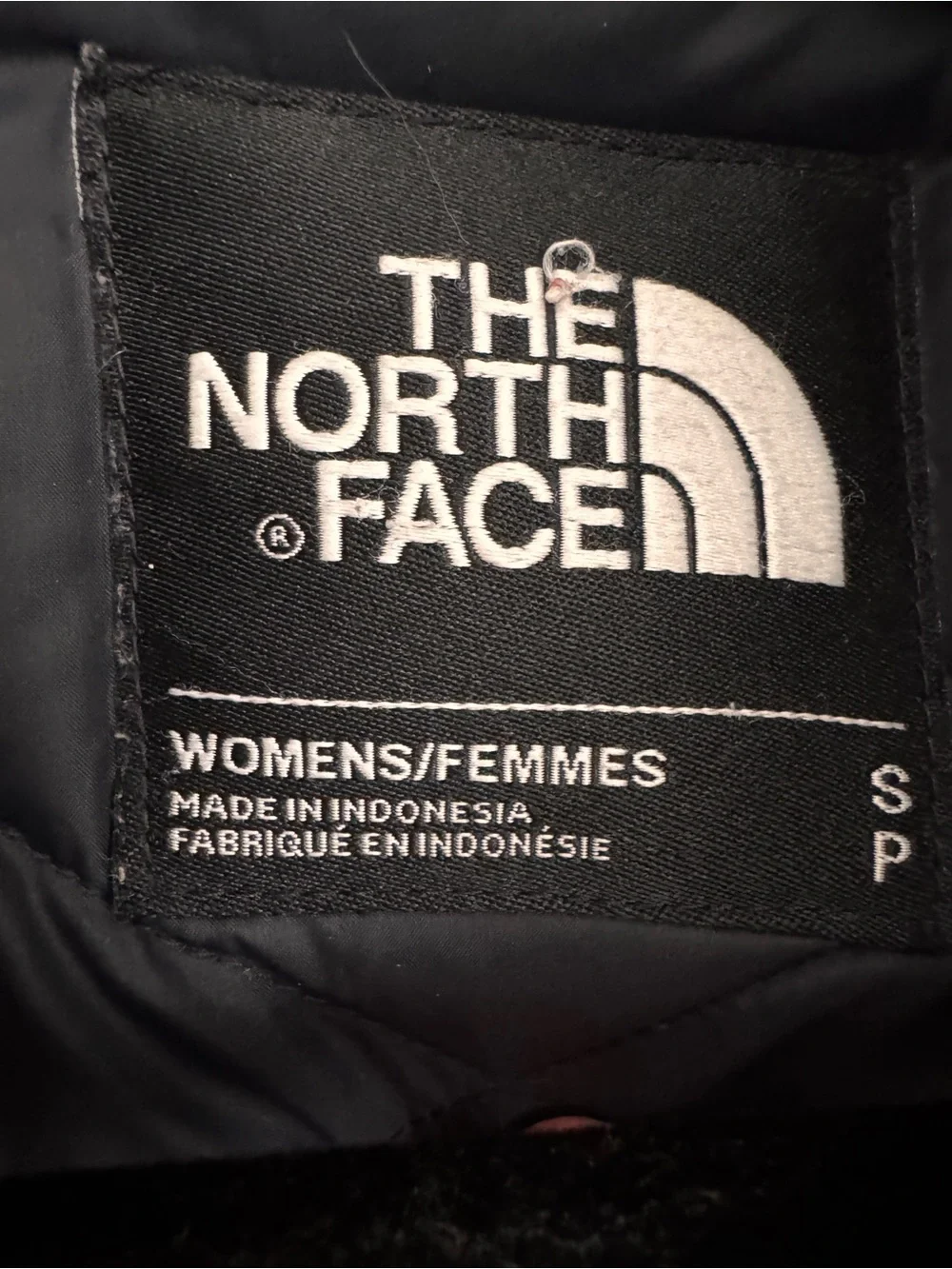 The North Face Artic Parka
